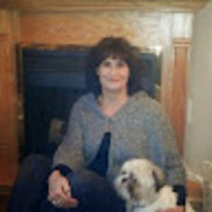 Meet your Posher, Shelley